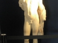 BOVINO (10).jpg