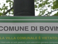 BOVINO (115).jpg