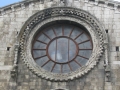 BOVINO (122).jpg