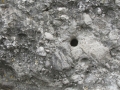 BOVINO (130).jpg