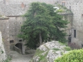 BOVINO (145).jpg