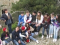 BOVINO (146).jpg