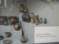 BOVINO (15).jpg