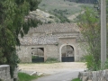 BOVINO (152).jpg