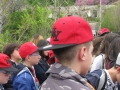 BOVINO (154).jpg