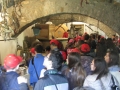 BOVINO (178).jpg