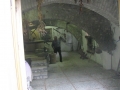 BOVINO (203).jpg