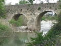 BOVINO (209).jpg