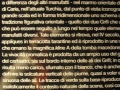 BOVINO (23).jpg