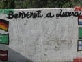 BOVINO (28).jpg