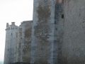 BOVINO (30).jpg