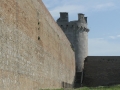 BOVINO (32).jpg