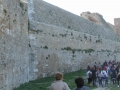 BOVINO (34).jpg