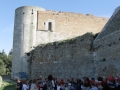 BOVINO (35).jpg