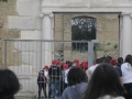 BOVINO (52).jpg