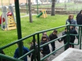 FOTO EVACUAZIONE COLLODI (1)