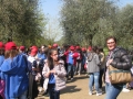 GIARDINI DI LINFA 007.jpg