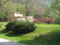 GIARDINI DI LINFA 015.jpg