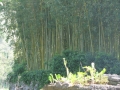 GIARDINI DI LINFA 018.jpg