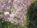 GIARDINI DI LINFA 024.jpg