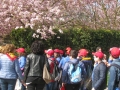 GIARDINI DI LINFA 026.jpg
