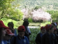 GIARDINI DI LINFA 031.jpg