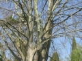 GIARDINI DI LINFA 039.jpg