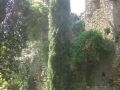 GIARDINI DI LINFA 047.jpg