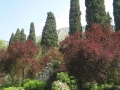 GIARDINI DI LINFA 055.jpg