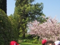 GIARDINI DI LINFA 063.jpg