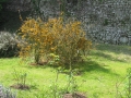 GIARDINI DI LINFA 071.jpg