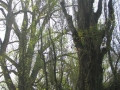 GIARDINI DI LINFA 090.jpg