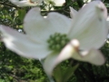 GIARDINI DI LINFA 098.jpg