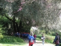 GIARDINI DI LINFA 105.jpg