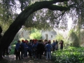 GIARDINI DI LINFA 108.jpg