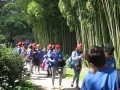 GIARDINI DI LINFA 115.jpg