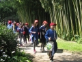 GIARDINI DI LINFA 116.jpg