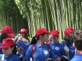GIARDINI DI LINFA 119.jpg