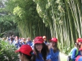 GIARDINI DI LINFA 120.jpg