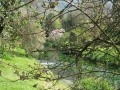 GIARDINI DI LINFA 123.jpg