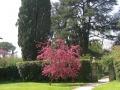 GIARDINI DI LINFA 129.jpg