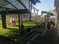 Collodi_17-2-20-11